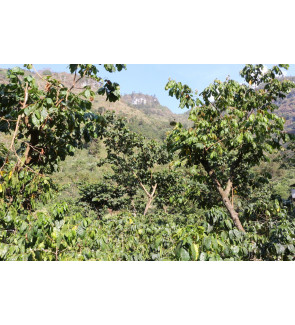 copy of El Salvador El...