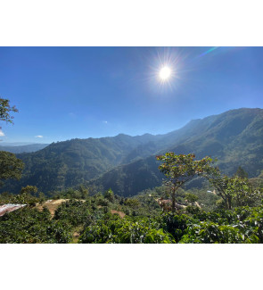 Guatemala Finca Jacinto